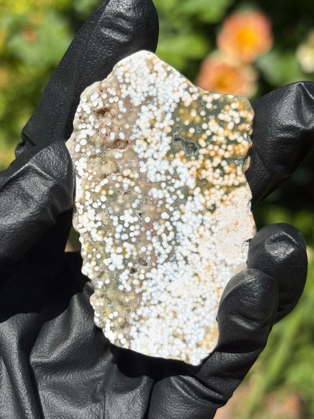 Ocean Jasper Druzy Crystal Slab - Orbicular Jasper - Polished Sea Jasper